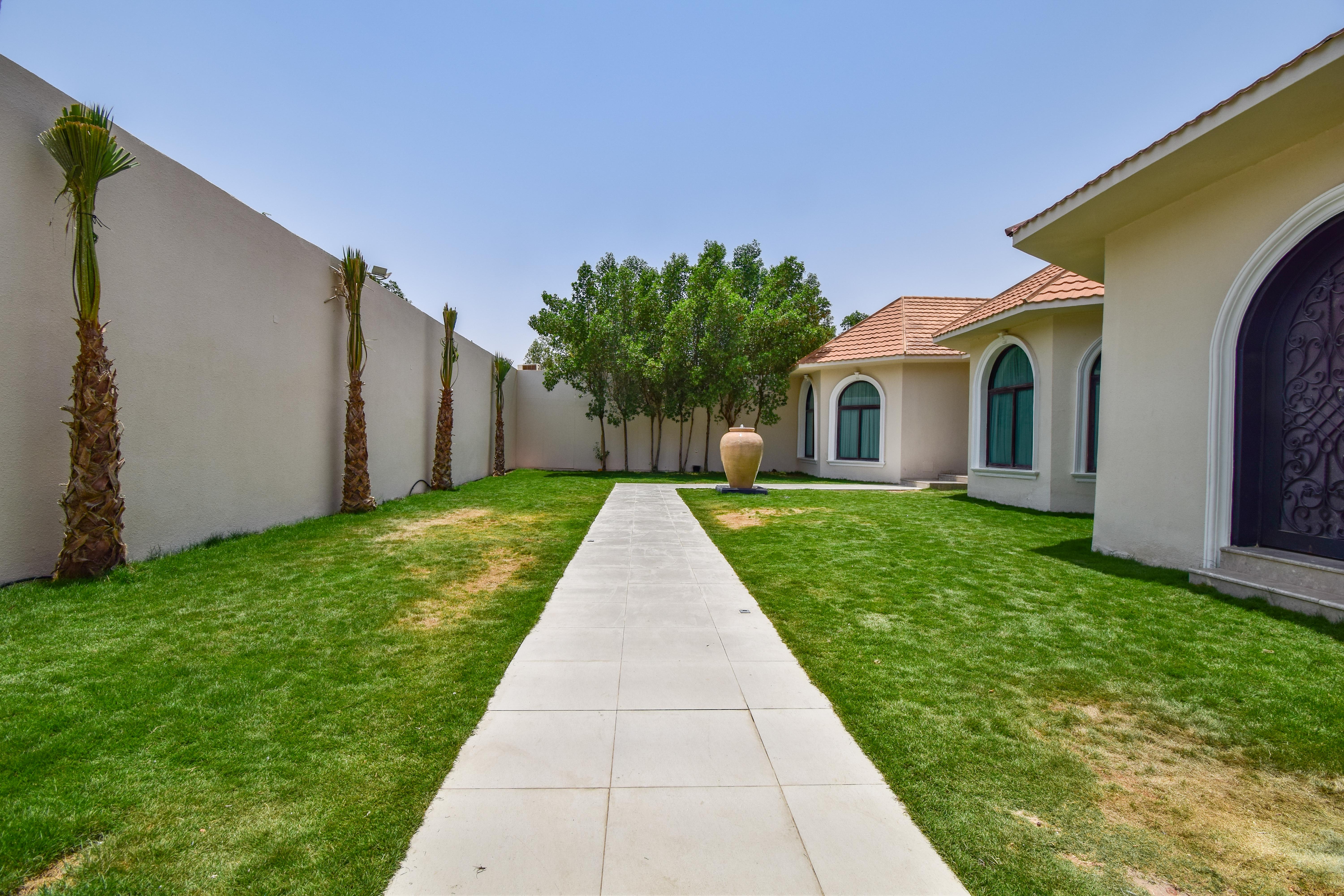 لايف كونتاك